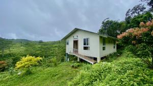 Willostays Amburan hills cabin