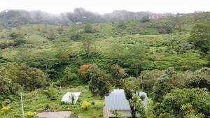 Willostays Amburan hills cabin