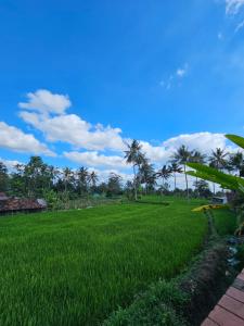 Teduh Teduh Villa Pakem