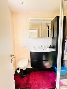 Appartement Traunsteinblick