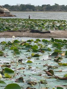 Sylvan Cabana Arugam Bay