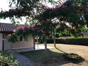 Maisons de vacances Amazing holiday home in Les Forges with terrace : photos des chambres