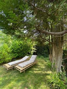Zen in Schoorl