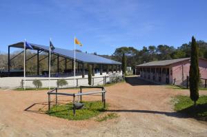 Appartements Charming studio in an exceptional equestrian farm : photos des chambres