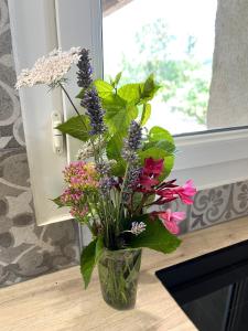 Charming studio in an exceptional equestrian farm