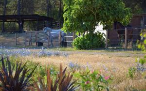 Charming studio in an exceptional equestrian farm