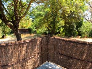 Appartements Charming studio in an exceptional equestrian farm : photos des chambres