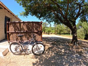 Appartements Charming studio in an exceptional equestrian farm : photos des chambres