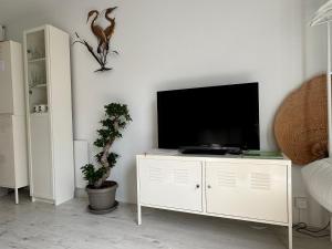 Zen in Schoorl