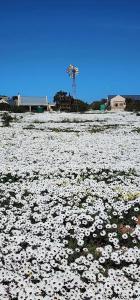 Capri Langebaan - No loadshedding