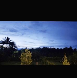 Coorg Riverness Resort