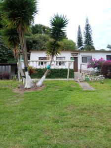 Cabaña Villa Morena