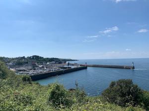 Maisons de vacances House 10p between Bourg and Beaches : photos des chambres