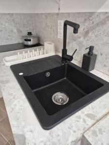 Studio Dijon centre et facultés