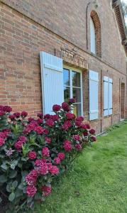 B&B / Chambres d'hotes La Petite Sologne : photos des chambres