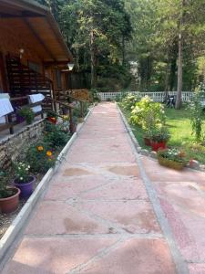 Bujtina Uji I Panjes, LLOGARA