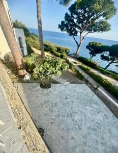 Giardino in villa Margherita