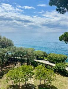 Giardino in villa Margherita