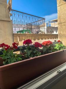 La Maison du Belvédère