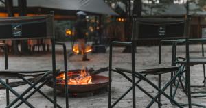 Hideaways Camelthorn Bush Camp, Greater Moremi
