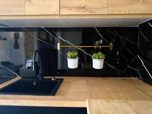 Moderno Estudio en resort Eurotennis frente al mar