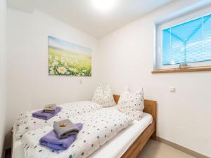 Apartment in Hollersbach near Ski Lift
