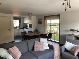 Bright Family Stay with Bikes