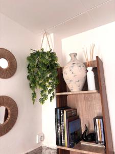 Casa rústica y luminosa