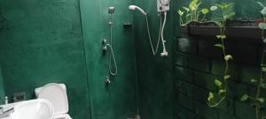 Queens Leisure Villa Bambukuliya