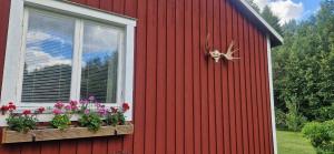 gemütliches Ferienhaus - Höga Kusten Region