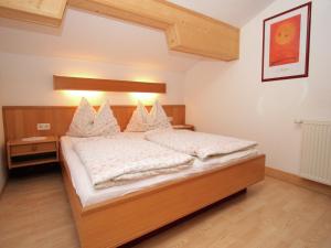 Apartment in Embach near Gastein Ski Area