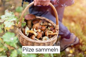 Ferienhaus Alte Provinz ruhige zentrale Lage Kromlau