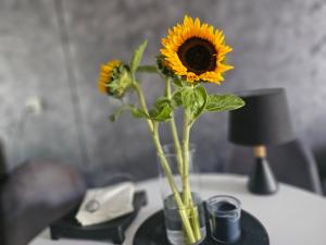 Przytulny apartament