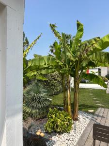 B&B / Chambres d'hotes Villa Le Sud : photos des chambres