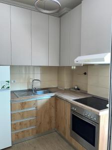 Aidas cozy central apartment