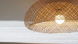 Vino Vibe by the artists Pool Cicada Speedy wifi