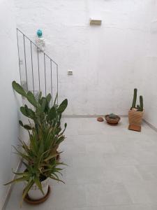 Il Terrazzino - località Salve - Salento