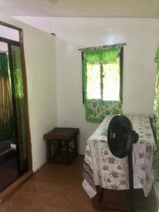 Sobral Rice Terraces View