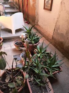 Casa per gente giovane