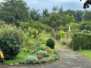 B&B / Chambres d'hotes Villa Henrita im Elsass : photos des chambres
