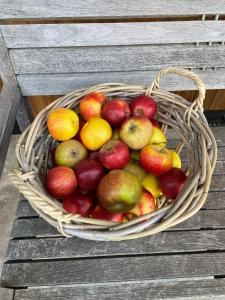 B&B / Chambres d'hotes Villa Henrita im Elsass : photos des chambres