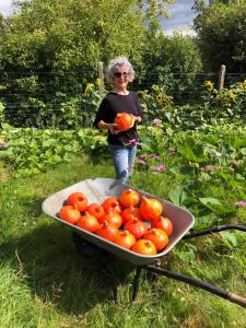 B&B / Chambres d'hotes Villa Henrita im Elsass : photos des chambres