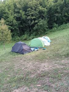 Wild Camping Albareto