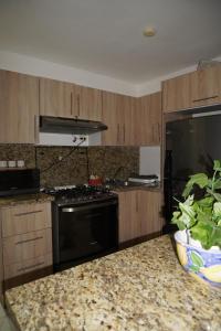 Experience Coconut Paradise Apart O2