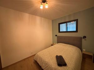 Appartements Appartement lumineux a Royat : photos des chambres