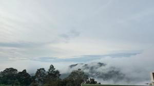 Leo Home Stay - Suite Rooms Best For Family-Group-Couple-Single