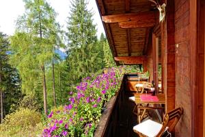 Almchalet Goldbergleiten