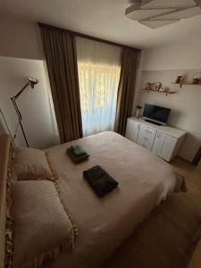 Apartament de lux, zona centrala
