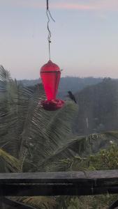 Rustic Cabin in Salento