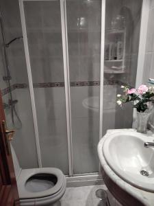 Habitación individual Alameda de Osuna